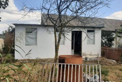 Casă în Mahmudia - 3