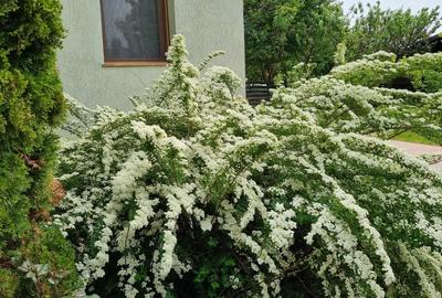 Casa la cheie zona rezidentiala in oras - 2