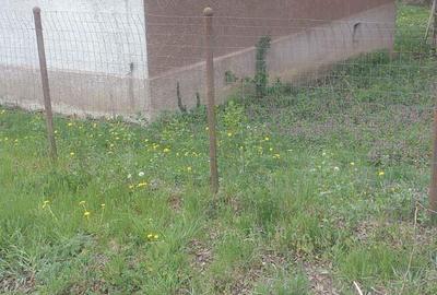 Se vinde casa in comuna Recea Cristur din caramida! - 3