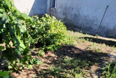 Casă cu 5 camere în Central - 6