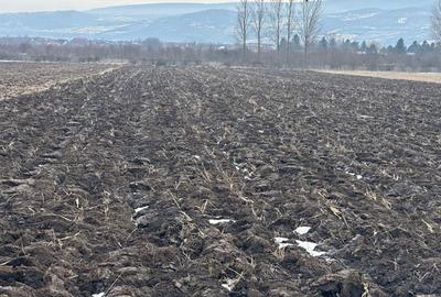 Spațiu comercial, în Dancu - 8