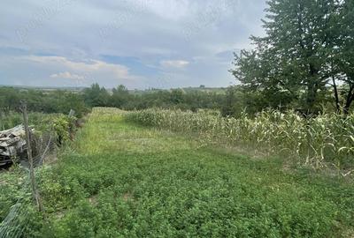 Casă cu 2 camere în Petrisat