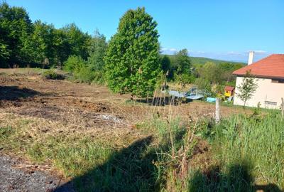 Teren autorizat Faget / Zona Vila Tusa / PUZ Aprobat - 2