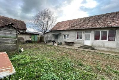 Casă cu 3 camere cu Teren 2700 Mp în Central - 2