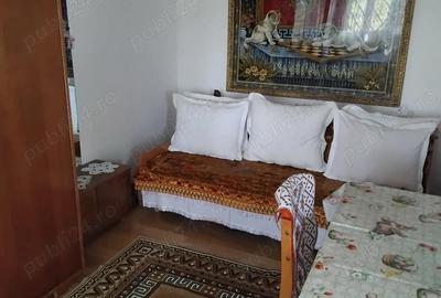 Casă cu 3 camere cu Teren 3200 Mp în Băleni - 4