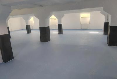 Spațiu comercial, de 300 mp, în Aradul Nou - 1
