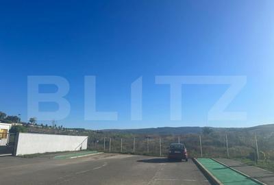 Teren de 11100 mp, în Sopor - 4