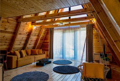 Ansamblu case:rezidential investitional, Moieciu de Jos,con - 1