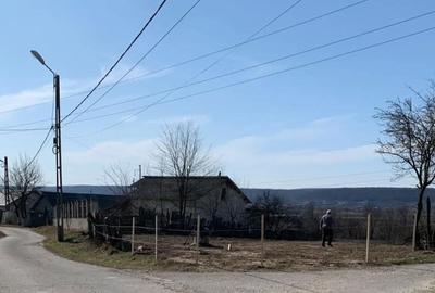 Spațiu comercial, în Colibași - 11