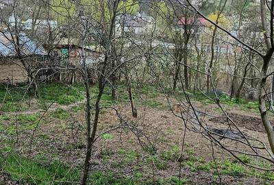 Casă cu 3 camere cu Teren 4660 Mp în Central