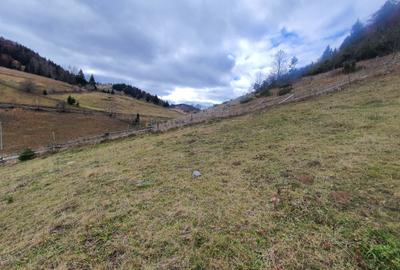 Teren rezidential Bran Fundata zona de case si pensiuni - 3