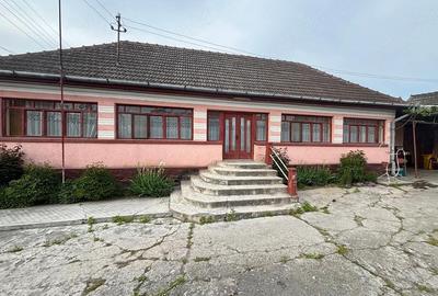 Casă cu Teren 5000 Mp în Chișcădaga - 4