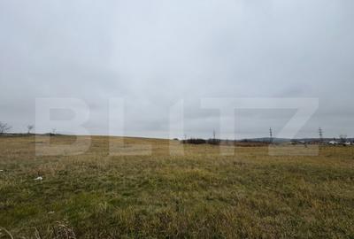 Teren intravilan in Pricaz 4416 mp - 2