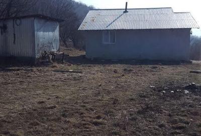 Teren de 6200 mp, în Viperești - 5
