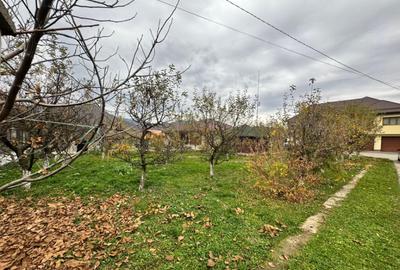 CASA DE VIS SAU AFACERE DE SUCCES BAIA SPRIE - 1