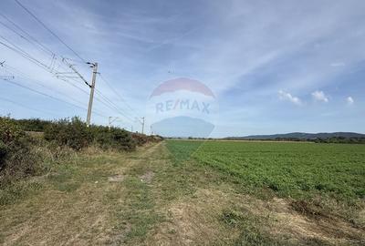 Teren Investitii 8600 mp | Zona Tetarom III Rascruci - 4
