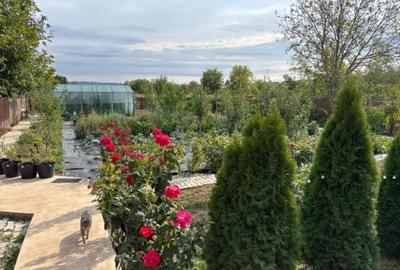 Casa, 5 camere, constructie 2022, teren 1000mp, Mehedinta, 275.000euro - 13