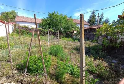 Casă cu 2 camere în Central - 7