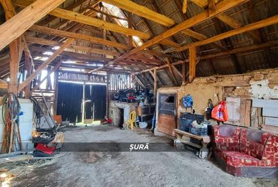 Casă cu 3 camere cu Teren 3724 Mp în Borlești - 16