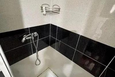 2 Camere Podul de Piatra - 8