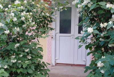 Casa in Miorcani - 8