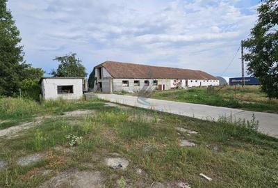 Gaminvest Fabrica de morarit de vanzare in Judetul Bihor, Romania V3234 - 8