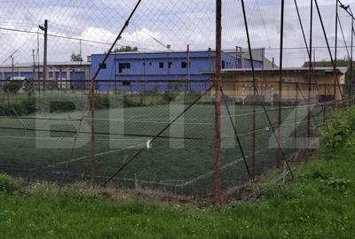 Casa superba in Tinca, 225 mp, 20 ari luciu de apa, teren fotbal, spatii verzi - 19