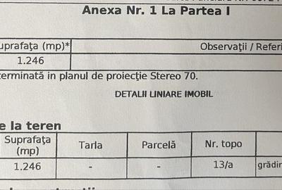 Casă cu 4 camere cu Teren 1246 Mp în Ultracentral - 5