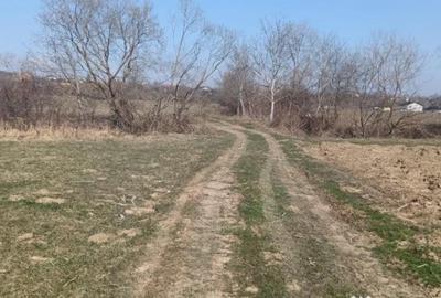 Teren în Remetea Chioarului - 3