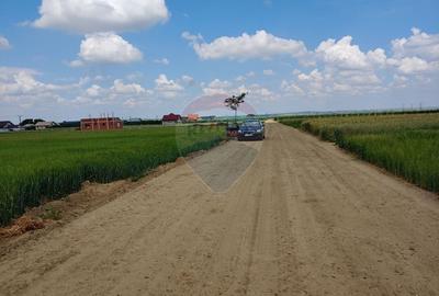 Teren intravilan de 6600 mp, în Dumbrăveni - 14