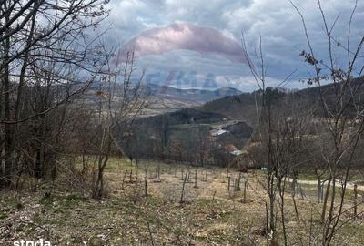 Teren de 12458 mp, în Meteș - 3