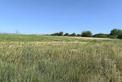 Teren de 1000 mp, în Micălaca - 1