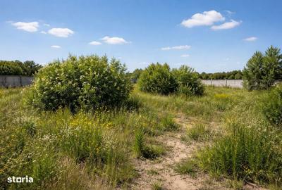 Teren de 34000 mp, în Dascălu