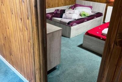 Cabana cu 4 dormitoare, foisor, ciubar, Statiunea Muntele Baisorii - 8