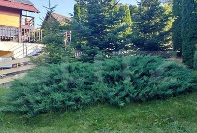 Casă cu Teren 476 Mp în Central - 20