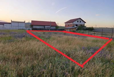 Teren de 630 mp, în Schela - 10