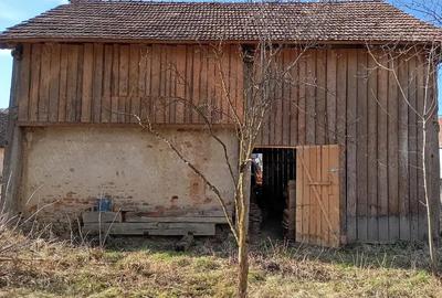 Casă cu 4 camere în Apold - 3