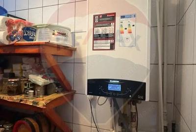 De vanzare 2 Corpuri de Casa si Teren 1388 mp in Geamana, Bradu - 2