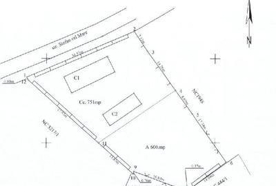 Casă cu 5 camere cu Teren 1351 Mp în Cernica - 6