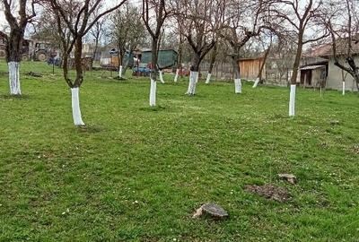 Casă individuală cu 2 camere cu Teren 2000 Mp în Ciglean - 11