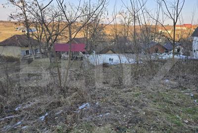 Teren de 79000 mp, în Central - 1