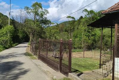 Casa ?araneasca de vanzare, Avram Iancu, Alba - 3