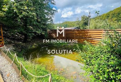 Casă individuală cu 4 camere cu Teren 6200 Mp în Ferneziu - 24