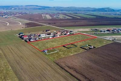 Teren intravilan 18.200mp, cu PUZ si PUD, ideal constructi case, Bod, Brasov. - 1