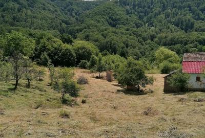 Spațiu comercial, în Central - 3