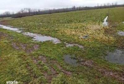 Spațiu comercial, în Hârsești - 1