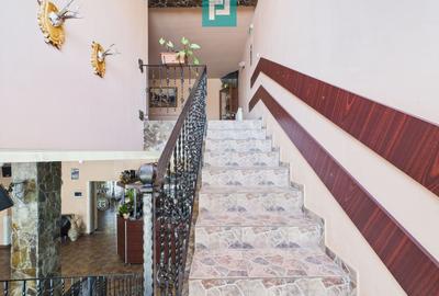 Pensiune la Orțișoara - 5