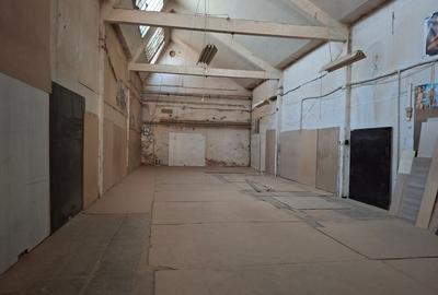 Spatiu depozitare/mica productie 200 mp  zona bd Basarbia - 4