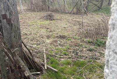 Casă cu 3 camere în Nadășu - 2