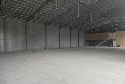 Spațiu comercial, de 800 mp, în Cărpiniș - 5